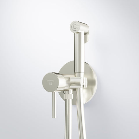 Brushed Nickel
