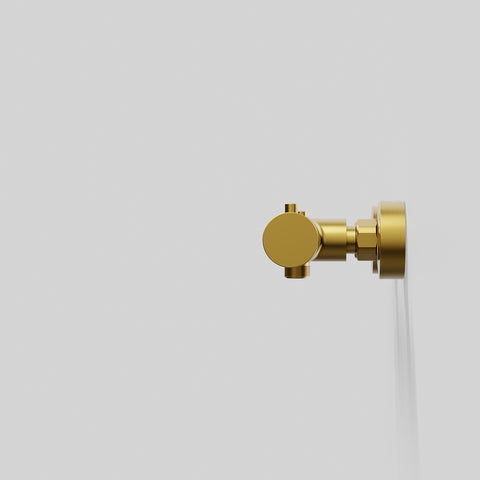 Brushed Gold
