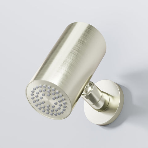 Brushed Nickel