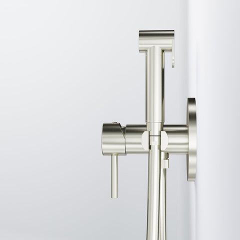 Brushed Nickel