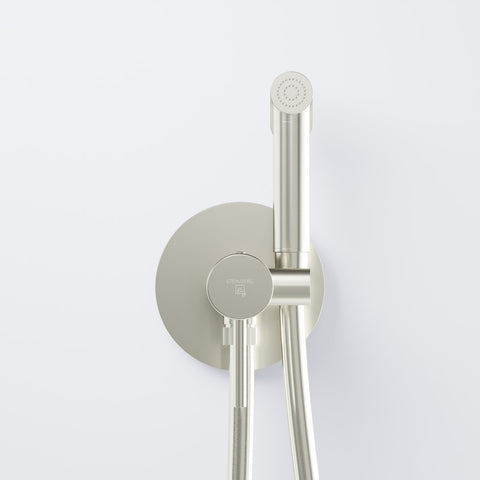 Brushed Nickel