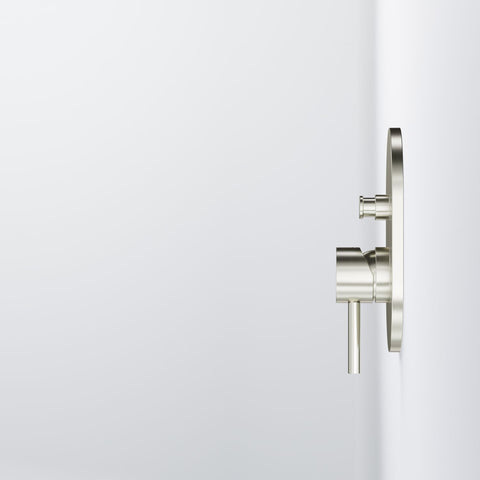 Brushed Nickel