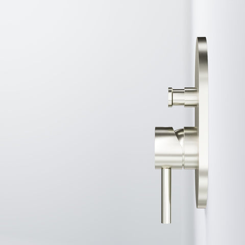 Brushed Nickel