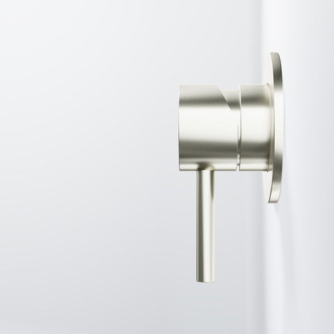 Brushed Nickel